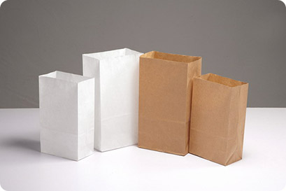 DM 20231012105842 005 paper bag 4