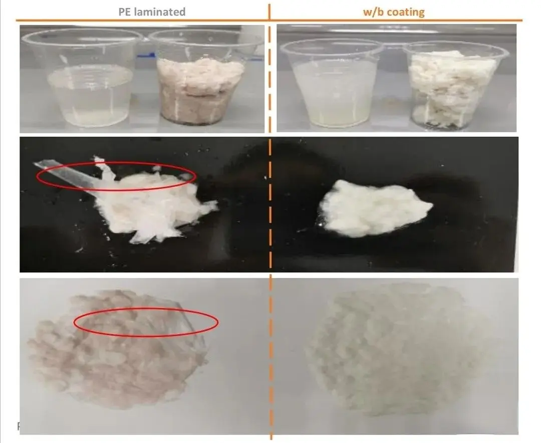 Comparison of recycling paper pulp from plastic-coated and eco-friendly paper cups