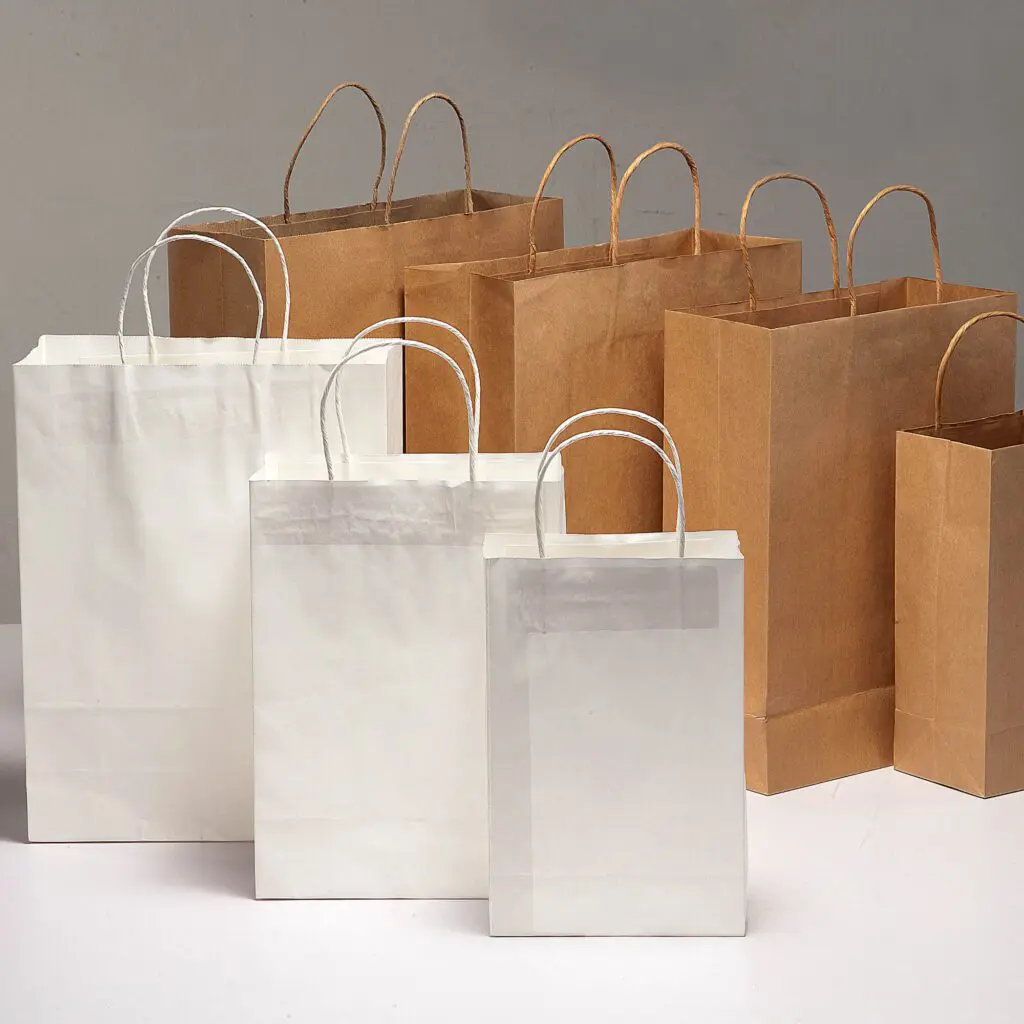 Twisted Handle Paper Bag