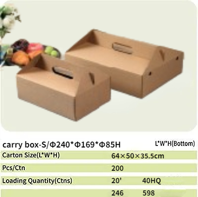 carry1 paper box 103
