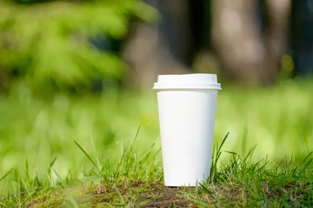 Cups Are More Sustainable1