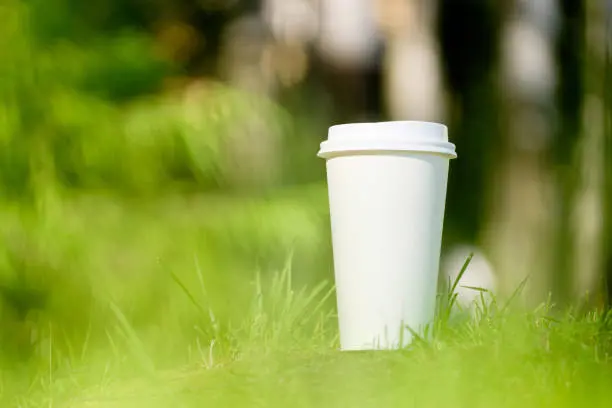 Cups Are More Sustainable3