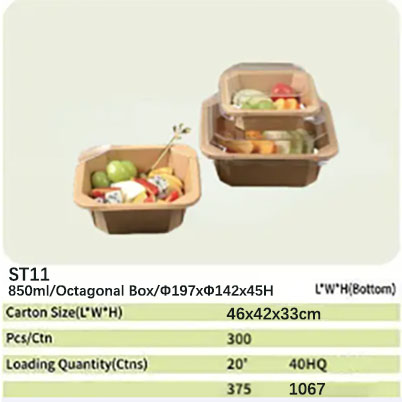 ST11 paper bowl 71