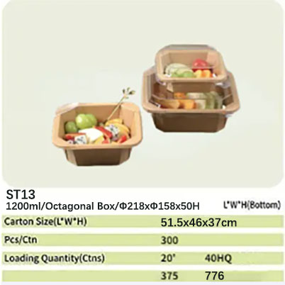 ST13 paper bowl 73
