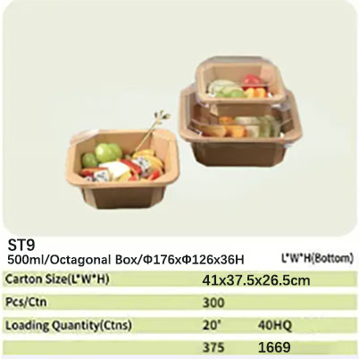 ST9 paper bowl 69
