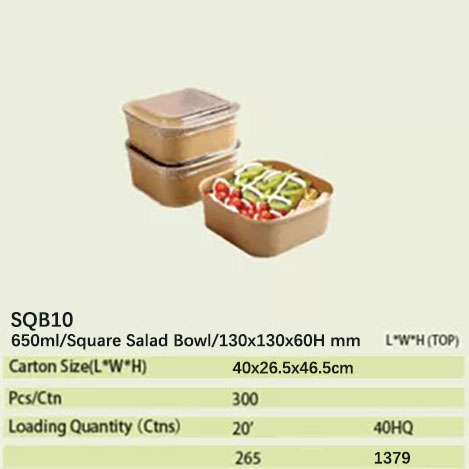 sqb10 paper bowl 77