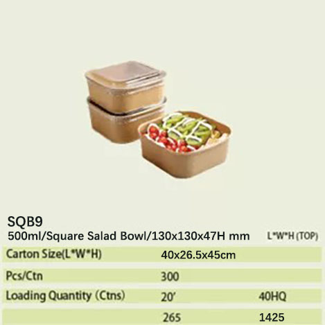 sqb9 paper bowl 76